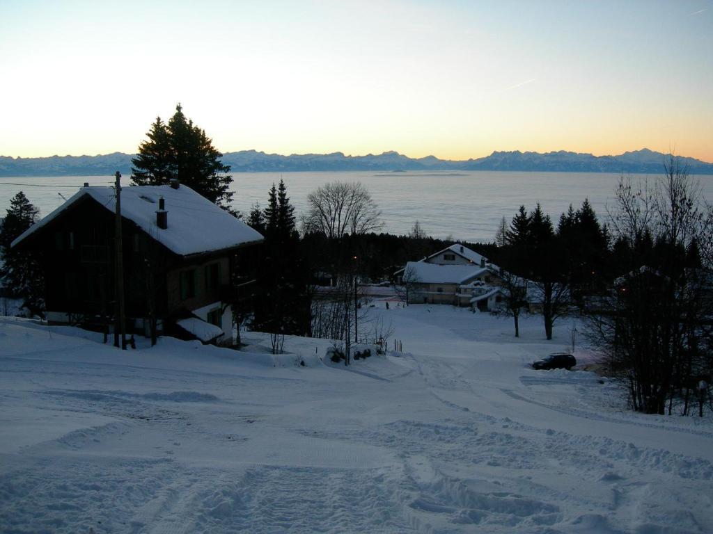 Le Coucou Et Chalet Beau-Site Les Rasses Exterior foto